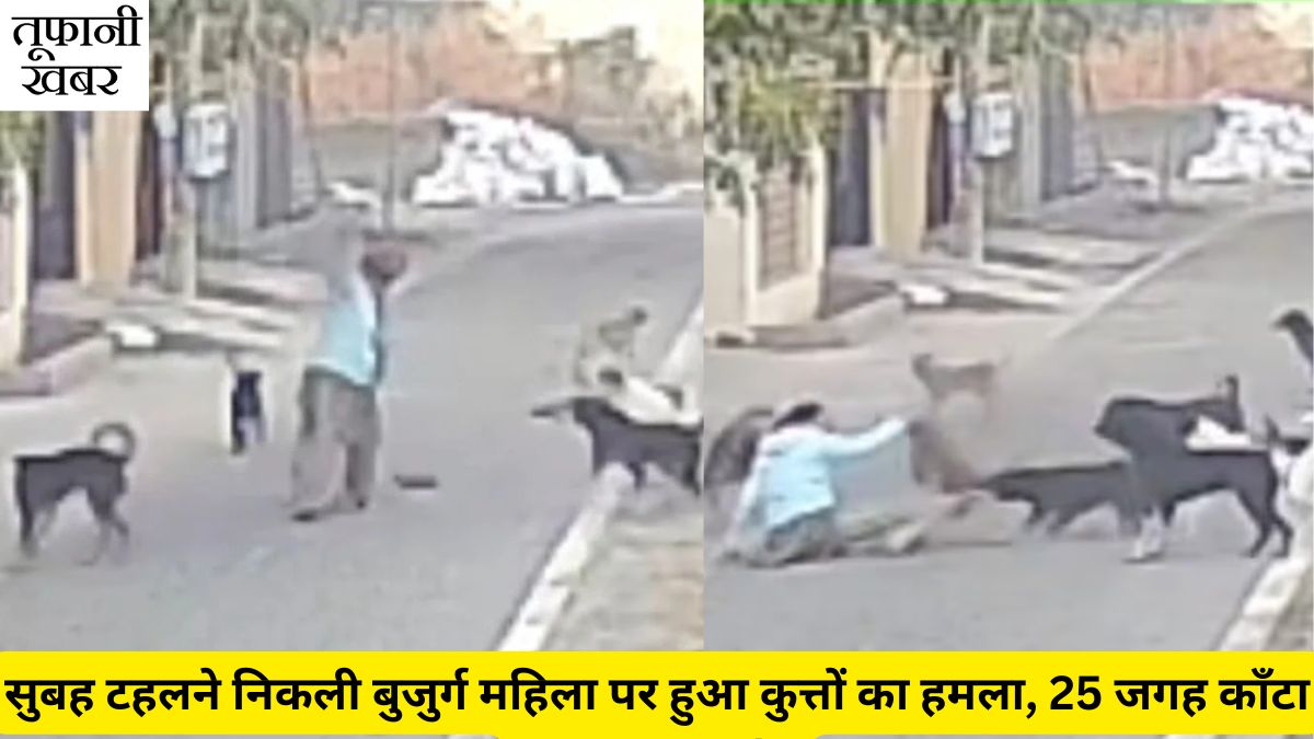 Dog Attack On Old Lady In Punjab