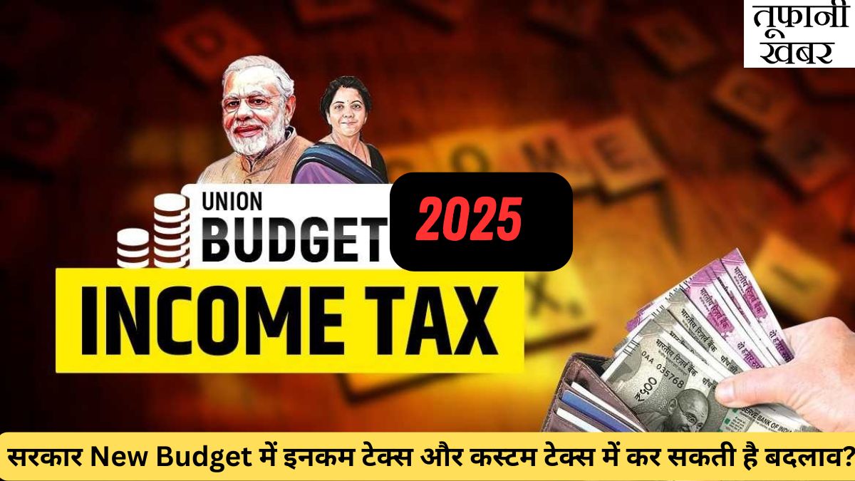 New Budget 2025, new income tax policy , custom duty tax policy