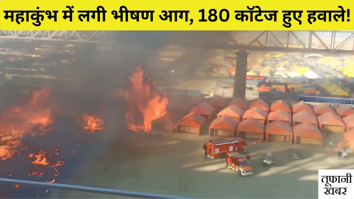 Mahakumbh Fire Video