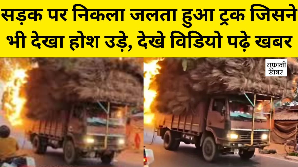 Truck Viral Video News