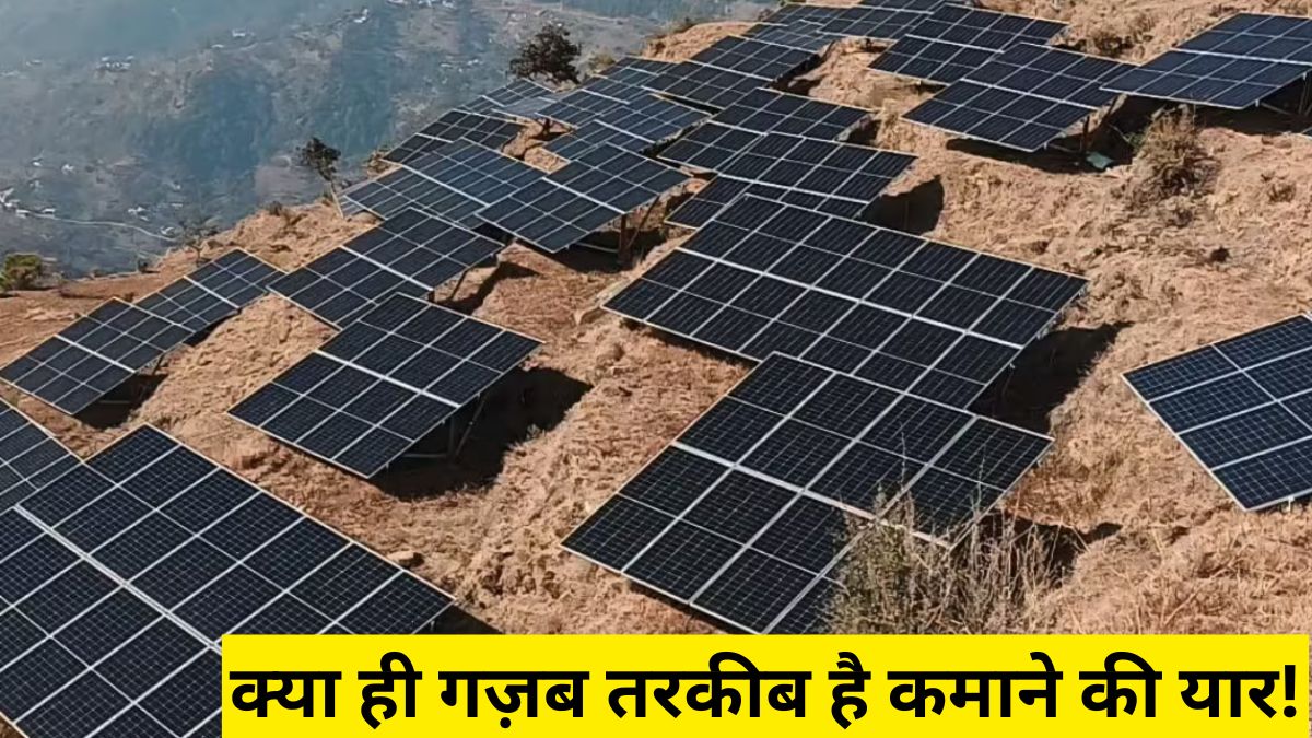 Mandi Solar Plant News